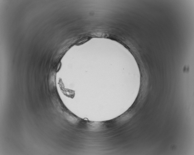 X0000114160432200911051509