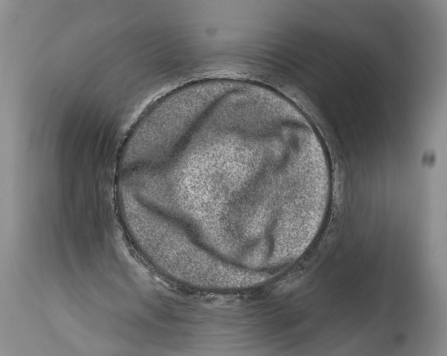 X0000114160434200911051508