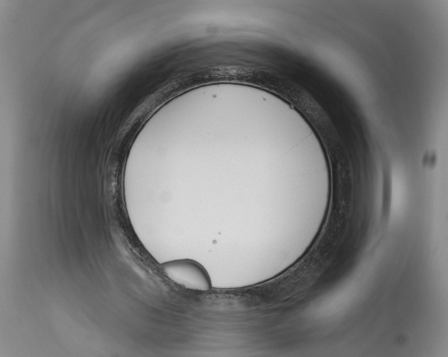 X0000114160435200911051508