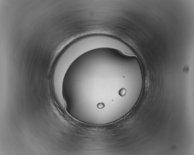 X0000114160436200911051508