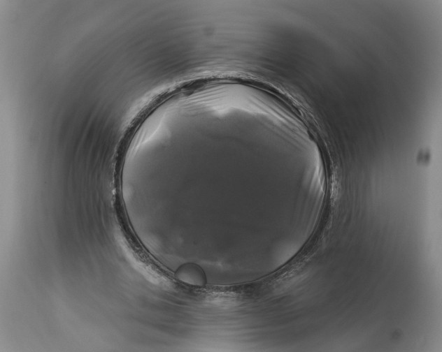 X0000114160438200911051508