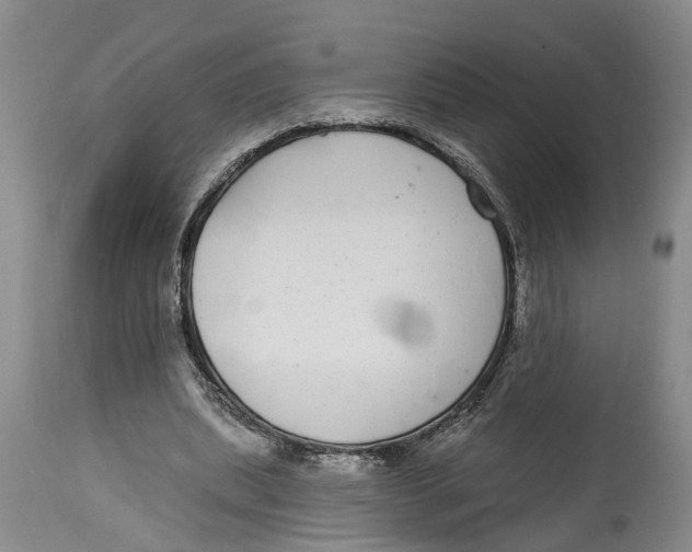 X0000114160439200911051508