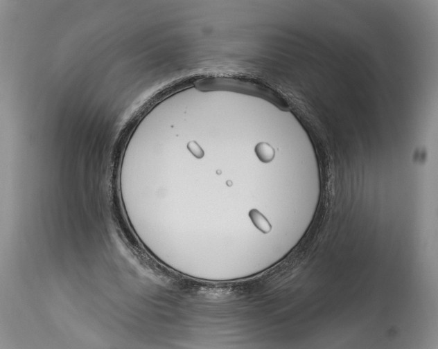 X0000114160440200911051509