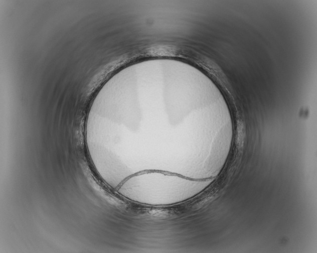 X0000114160441200911051509