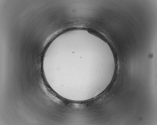 X0000114160442200911051509