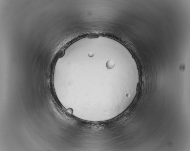X0000114160443200911051509