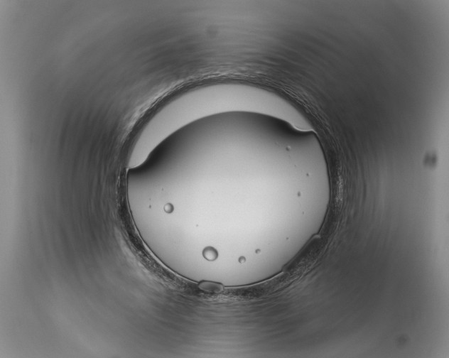 X0000114160444200911051509