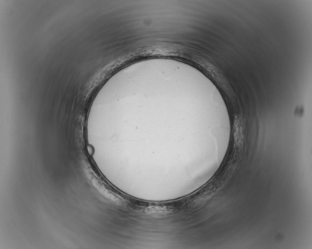 X0000114160445200911051509