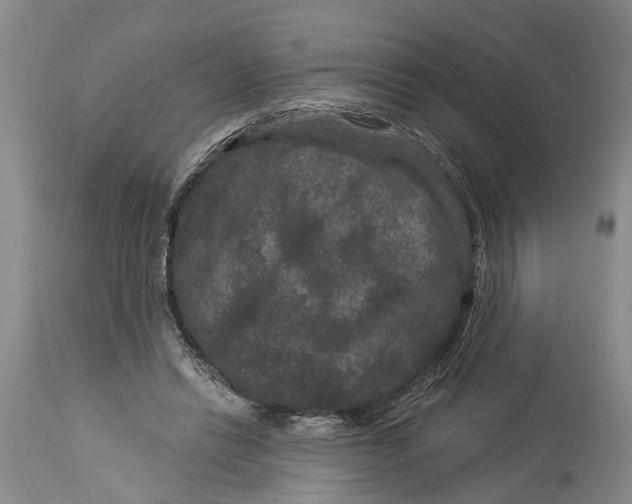 X0000114160446200911051509