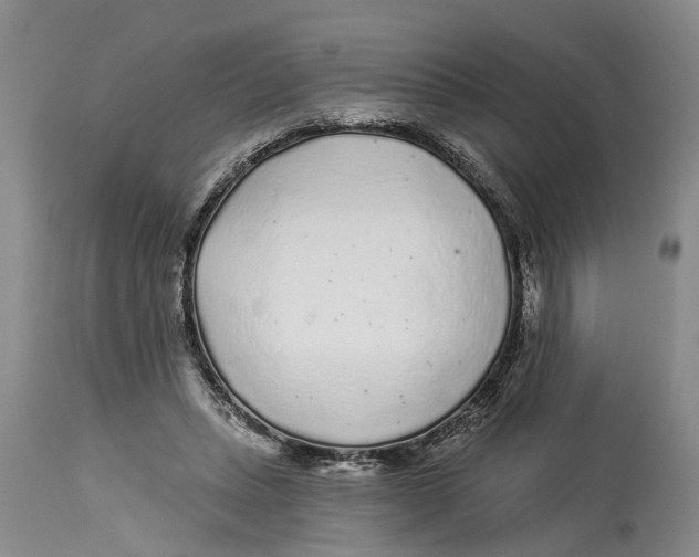 X0000114160447200911051509