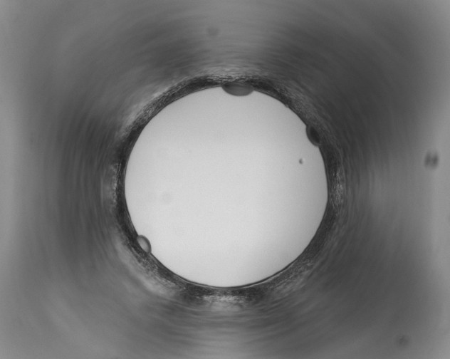 X0000114160448200911051509