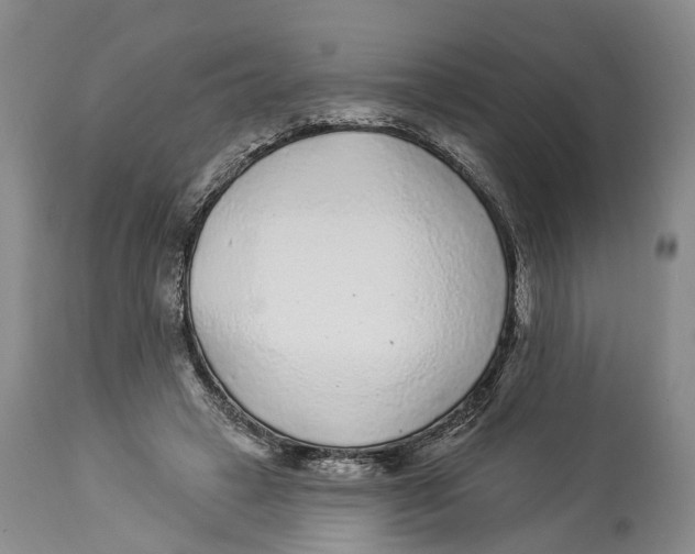X0000114160449200911051509