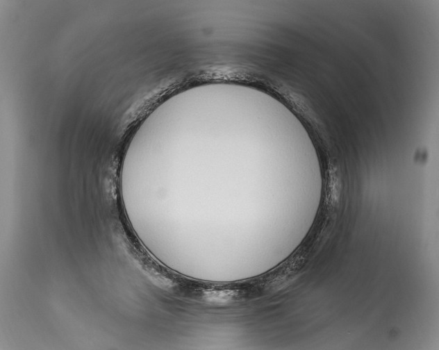 X0000114160450200911051509