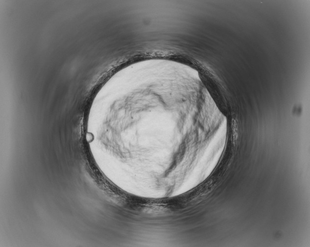X0000114160451200911051509