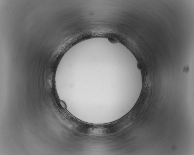 X0000114160452200911051509