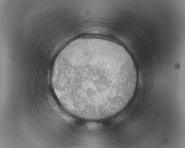 X0000114160453200911051509