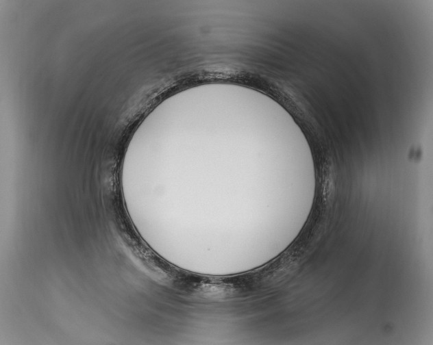 X0000114160455200911051509