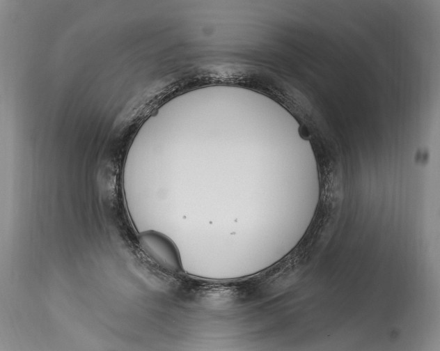 X0000114160456200911051509