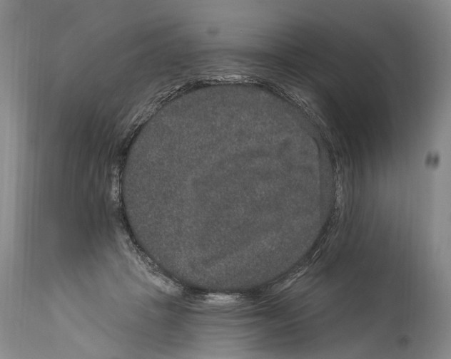 X0000114160457200911051509