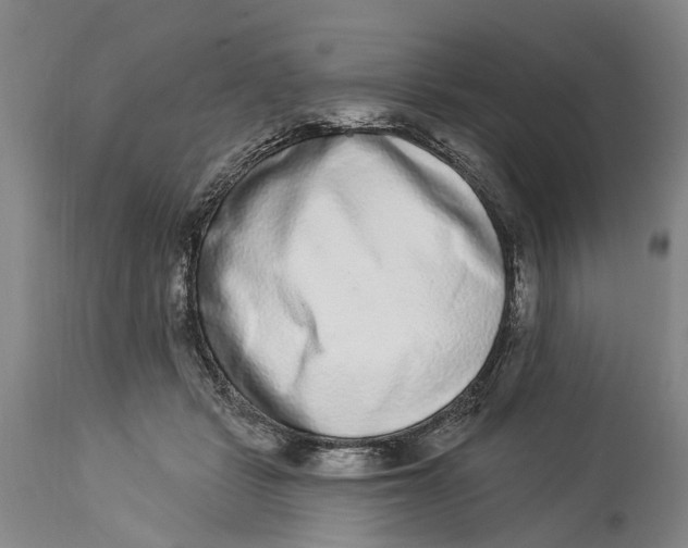 X0000114160461200911051509