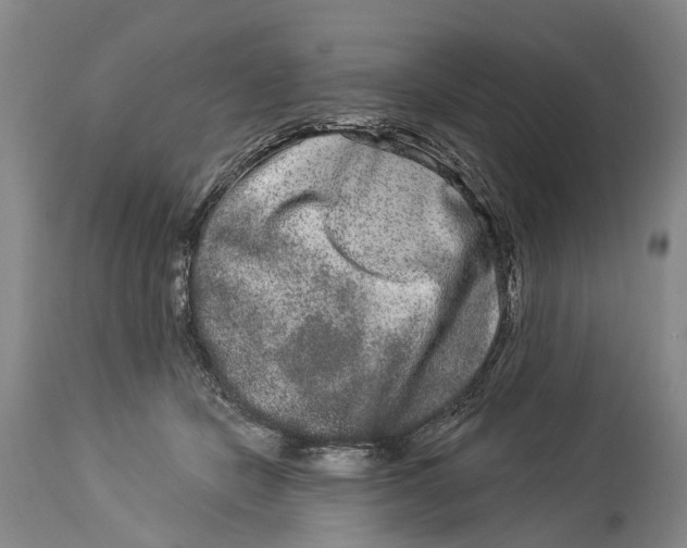 X0000114160462200911051509