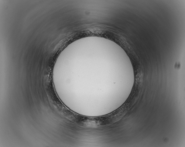 X0000114160464200911051509