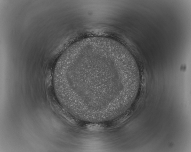 X0000114160465200911051509