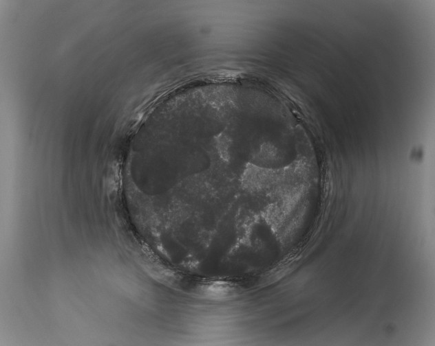 X0000114160467200911051509