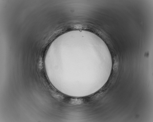 X0000114160469200911051509