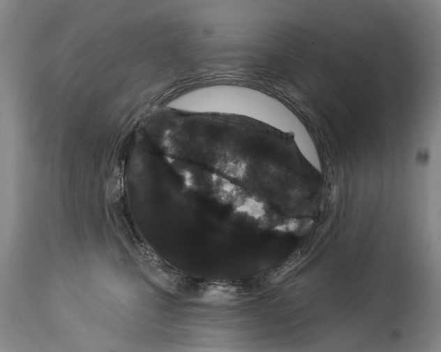 X0000114160471200911051509