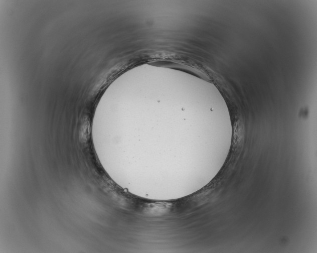 X0000114160474200911051509