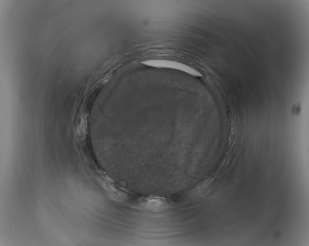X0000114160475200911051509