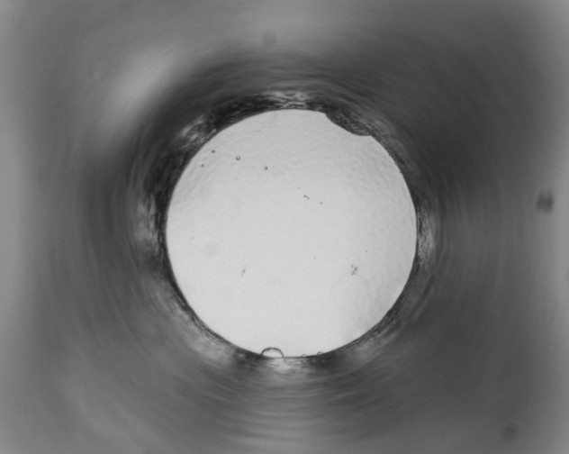X0000114160477200911051509