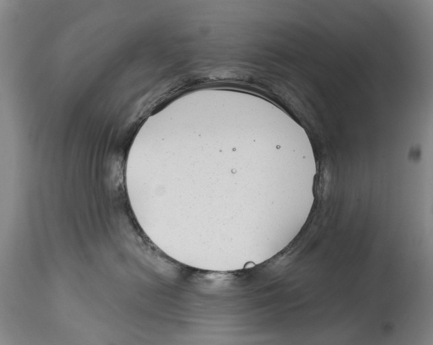 X0000114160478200911051509