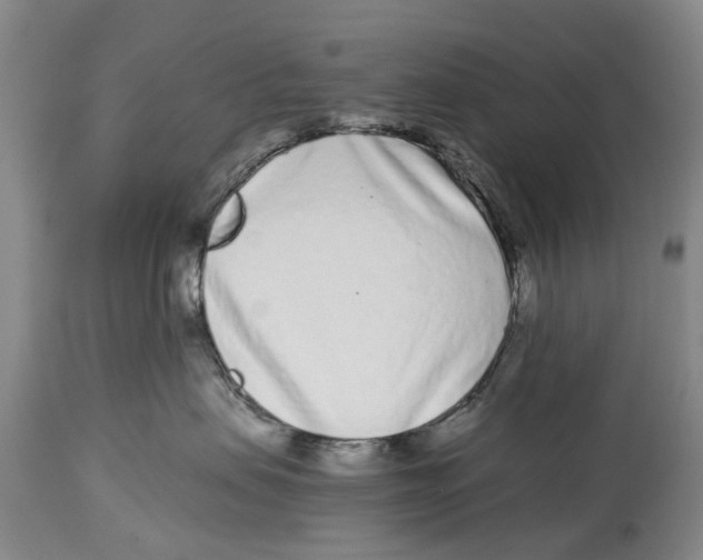 X0000114160479200911051509