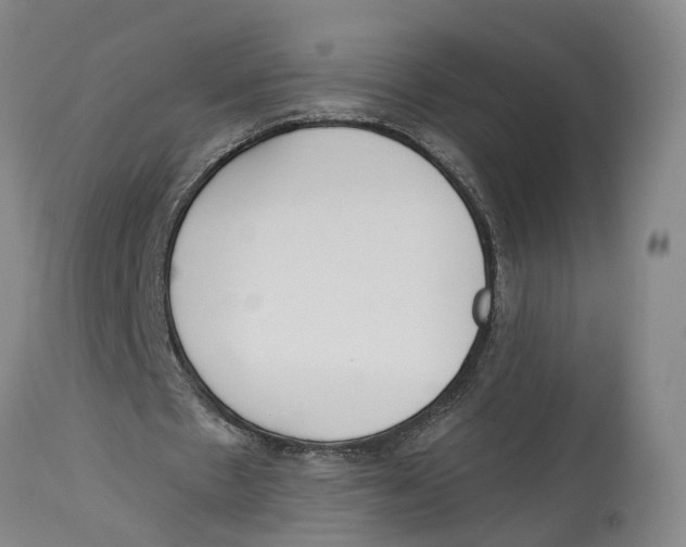 X0000114160481200911051508