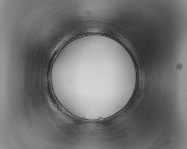 X0000114160482200911051508