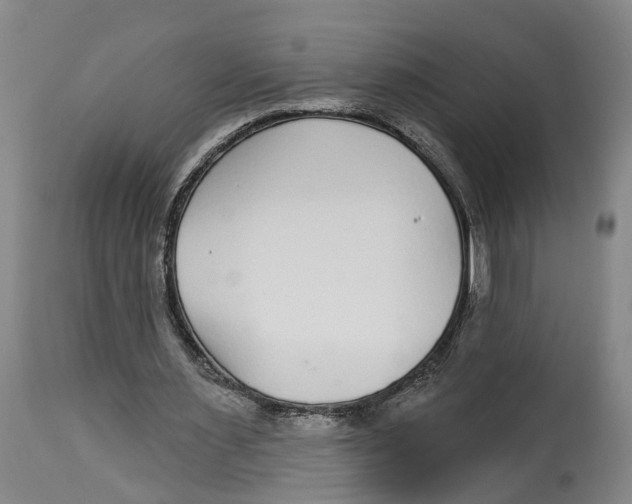 X0000114160483200911051508