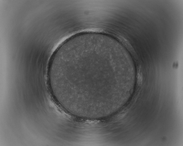 X0000114160484200911051508