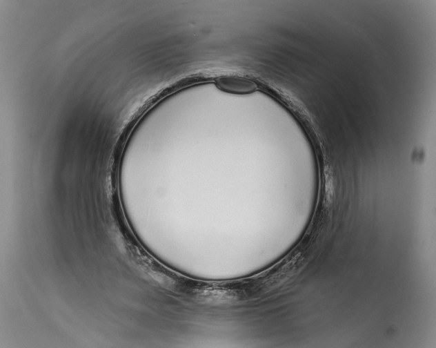 X0000114160487200911051508