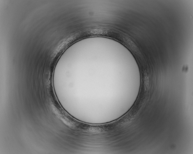 X0000114160490200911051508