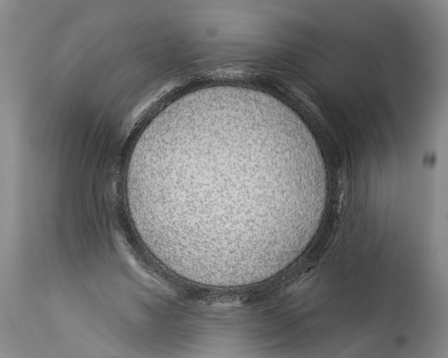 X0000114160491200911051508