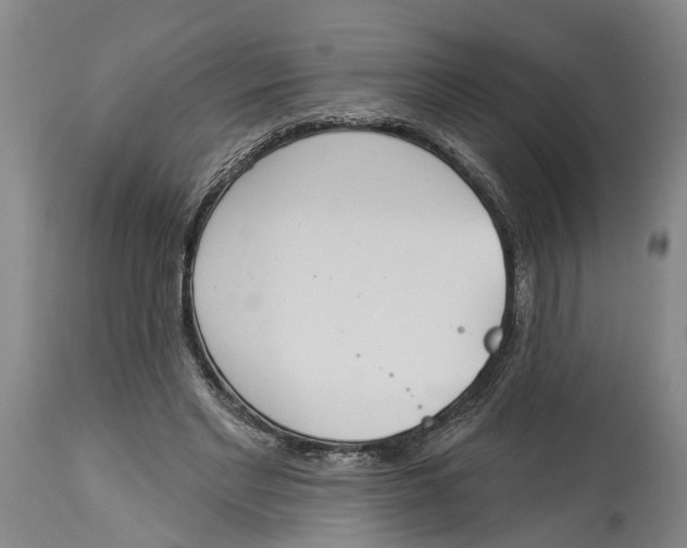 X0000114160493200911051508