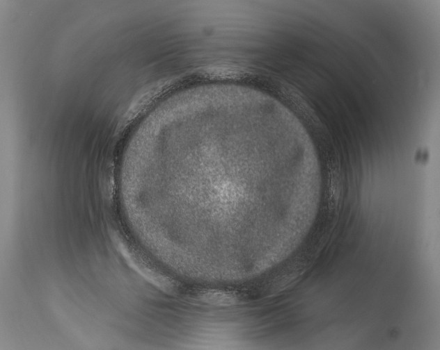 X0000114160494200911051508