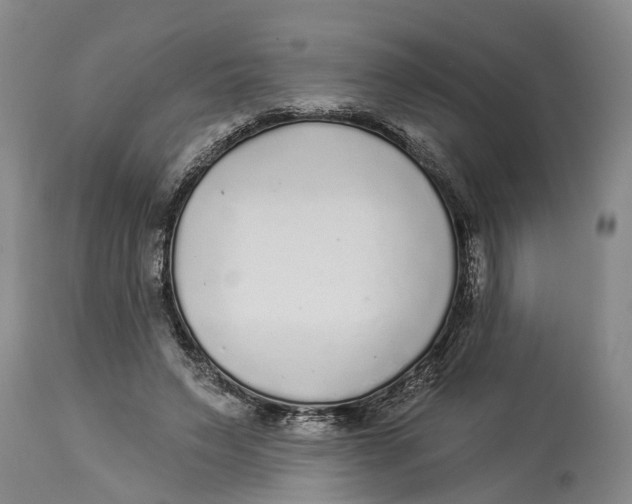 X0000114160495200911051508