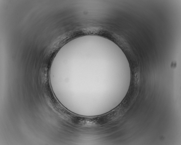 X0000114160498200911051508