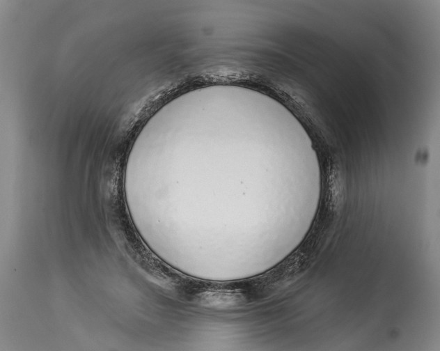 X0000114160499200911051508