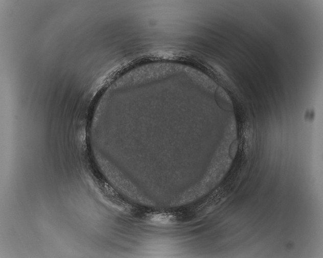 X0000114160500200911051508