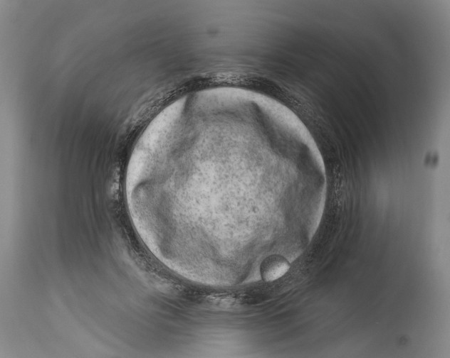 X0000114160502200911051508