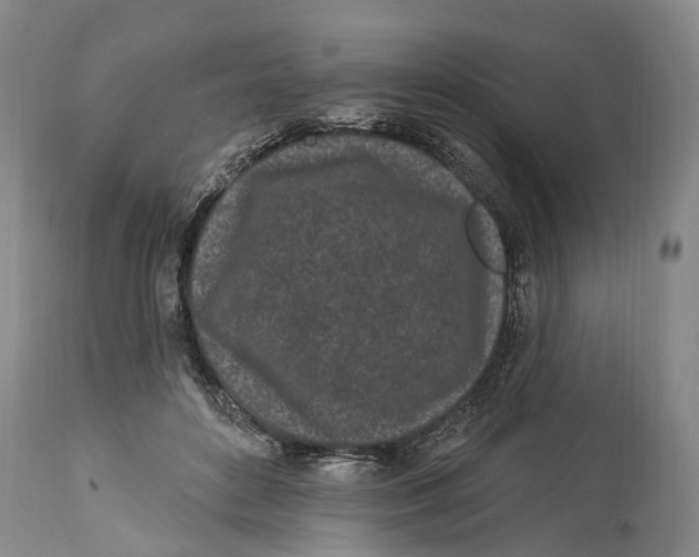 X0000114160504200911051508